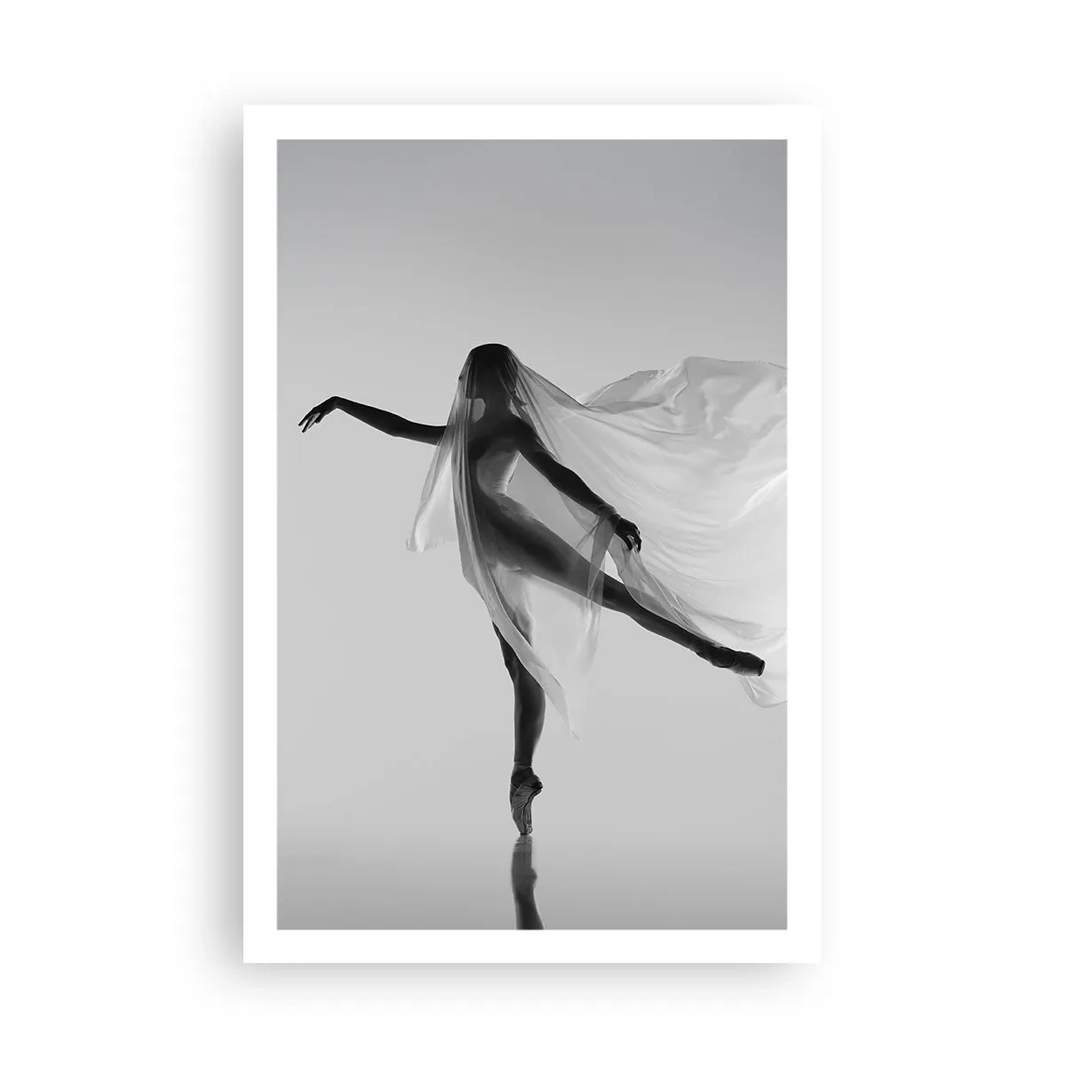 Affiche - Poster - Légèreté et grâce - 61x91 cm