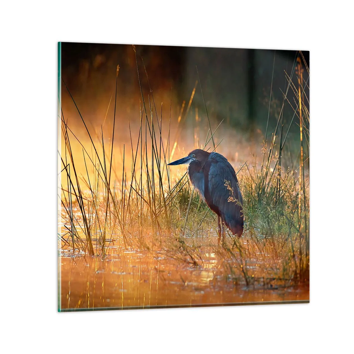 Impression sur verre - Image sur verre - Allez, laissez-moi en paix avec ces photos - 40x40 cm