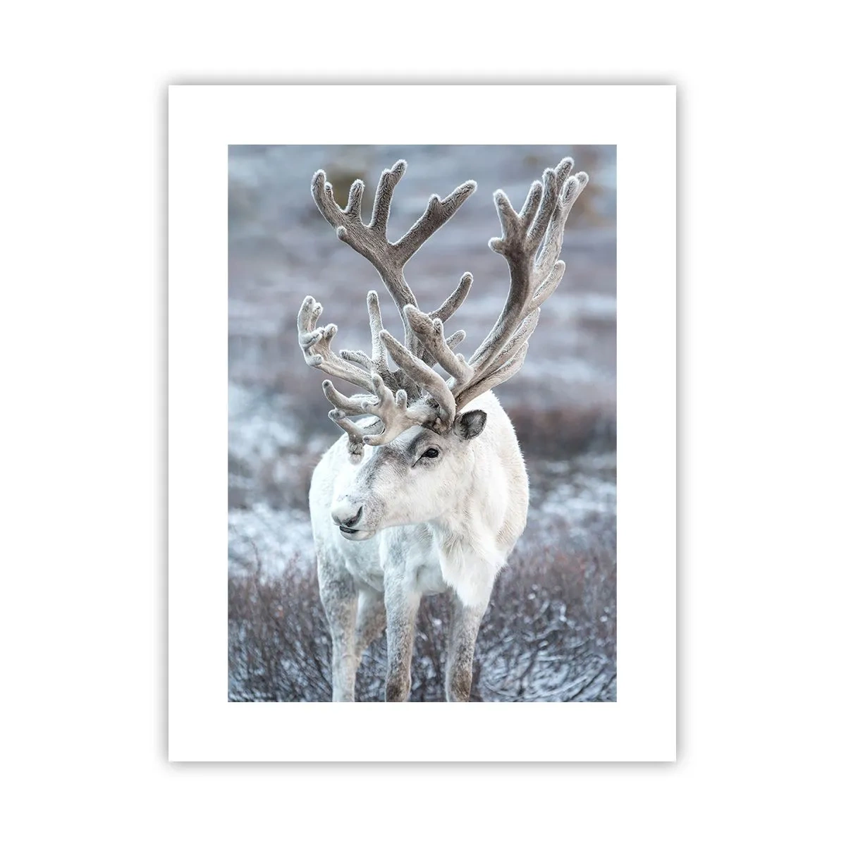 Affiche - Poster - Portrait au soleil - 30x40 cm
