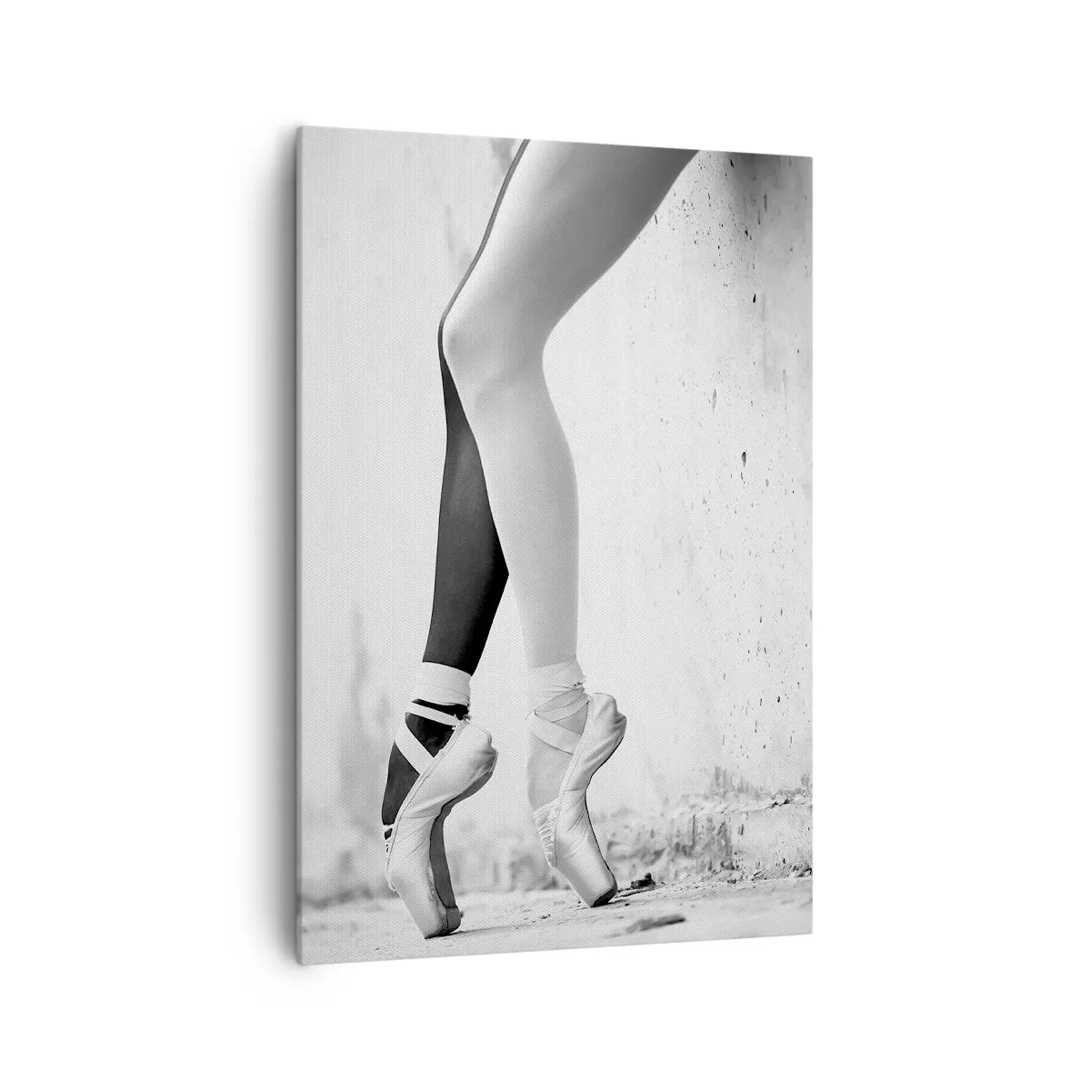 Impression sur toile - Image sur toile - Ballerine, voilà ! - 70x100 cm