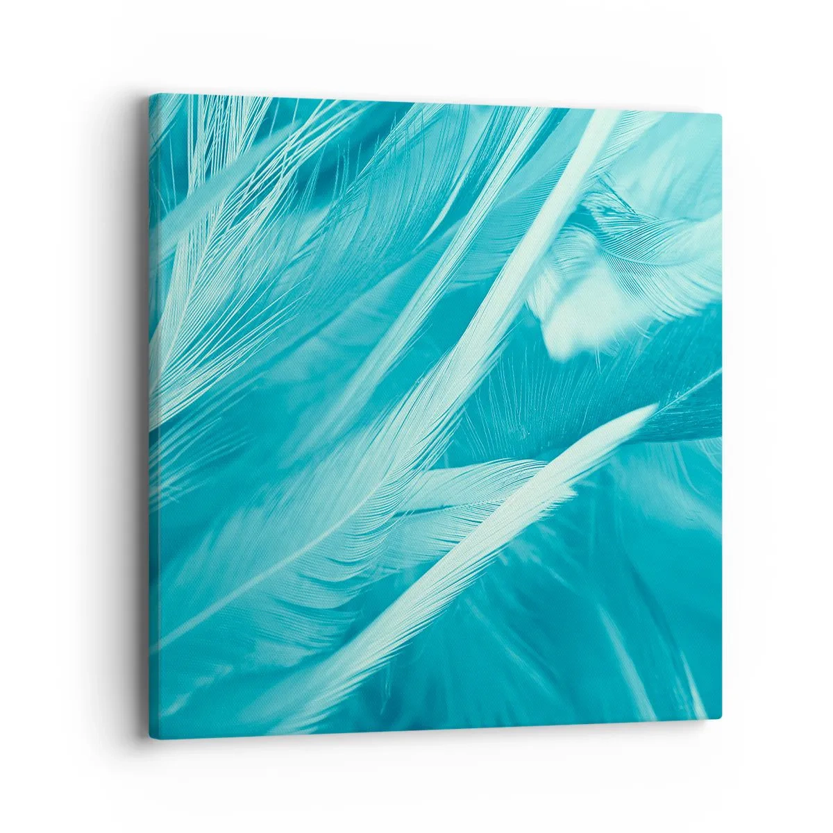 Impression sur toile - Image sur toile - Se noyer dans les plumes - 40x40 cm