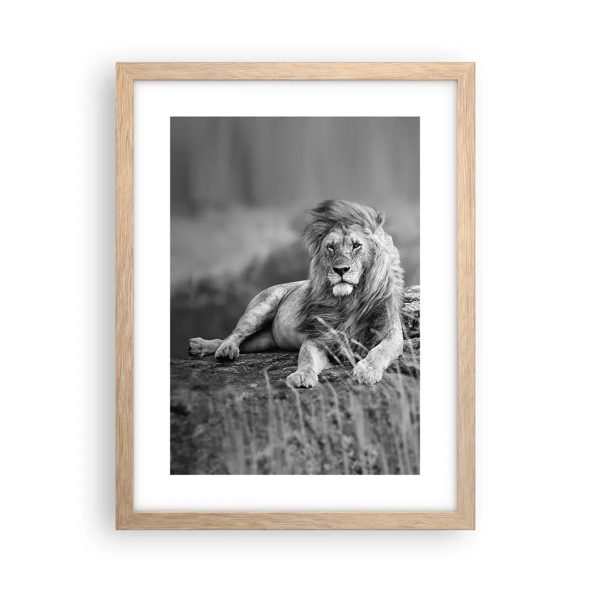 Affiche dans un chêne clair - Poster - Sieste royale - 30x40 cm