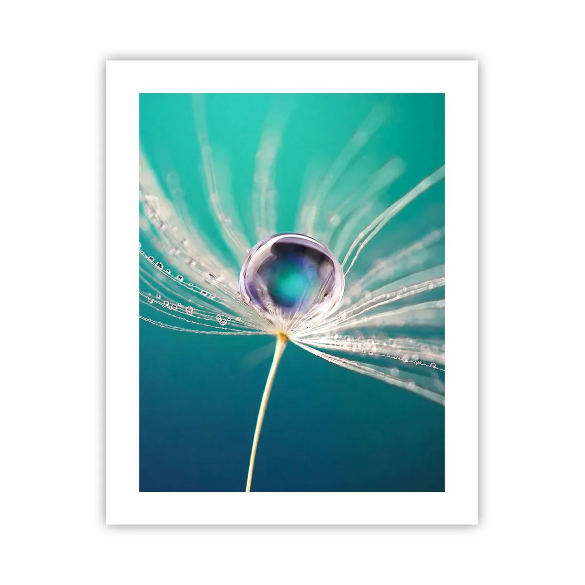 Affiche - Poster - Moment mystique - 40x50 cm