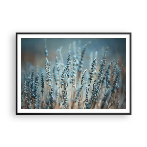 Affiche dans un cadre noir - Poster - Lavande dans les champs dans des tons pastel subtils - 100x70cm - Tige odorante - Décoration murale moderne pour le salon et la chambre ARTTOR