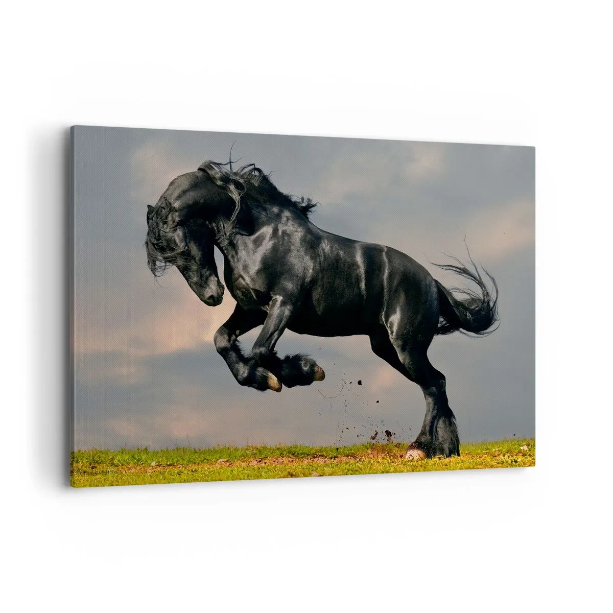 Impression sur toile - Image sur toile - Un cheval noir dans un saut dynamique contre le ciel - 120x80cm - Beau et libre - Décoration murale moderne pour le salon et la chambre ARTTOR