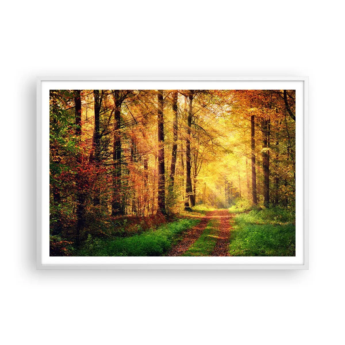 Affiche dans un cadre blanc - Poster - Silence d'or en forêt - 100x70 cm