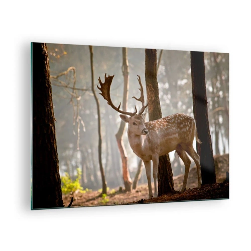Impression sur verre - Image sur verre - Un cerf dans la forêt entouré de brouillard matinal - 70x50cm - La lumière de la jeunesse - Décoration murale moderne pour le salon et la chambre ARTTOR