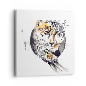 Impression sur toile - Image sur toile - Drapieżna uroda - 40x40 cm