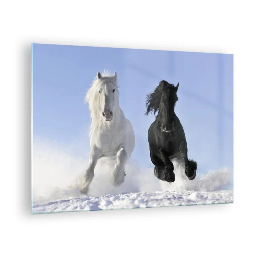 Impression sur verre - Image sur verre - Un cheval noir et blanc courant dans la neige dans un paysage hivernal - 70x50cm - Galop noir et blanc - Décoration murale moderne pour le salon et la chambre ARTTOR