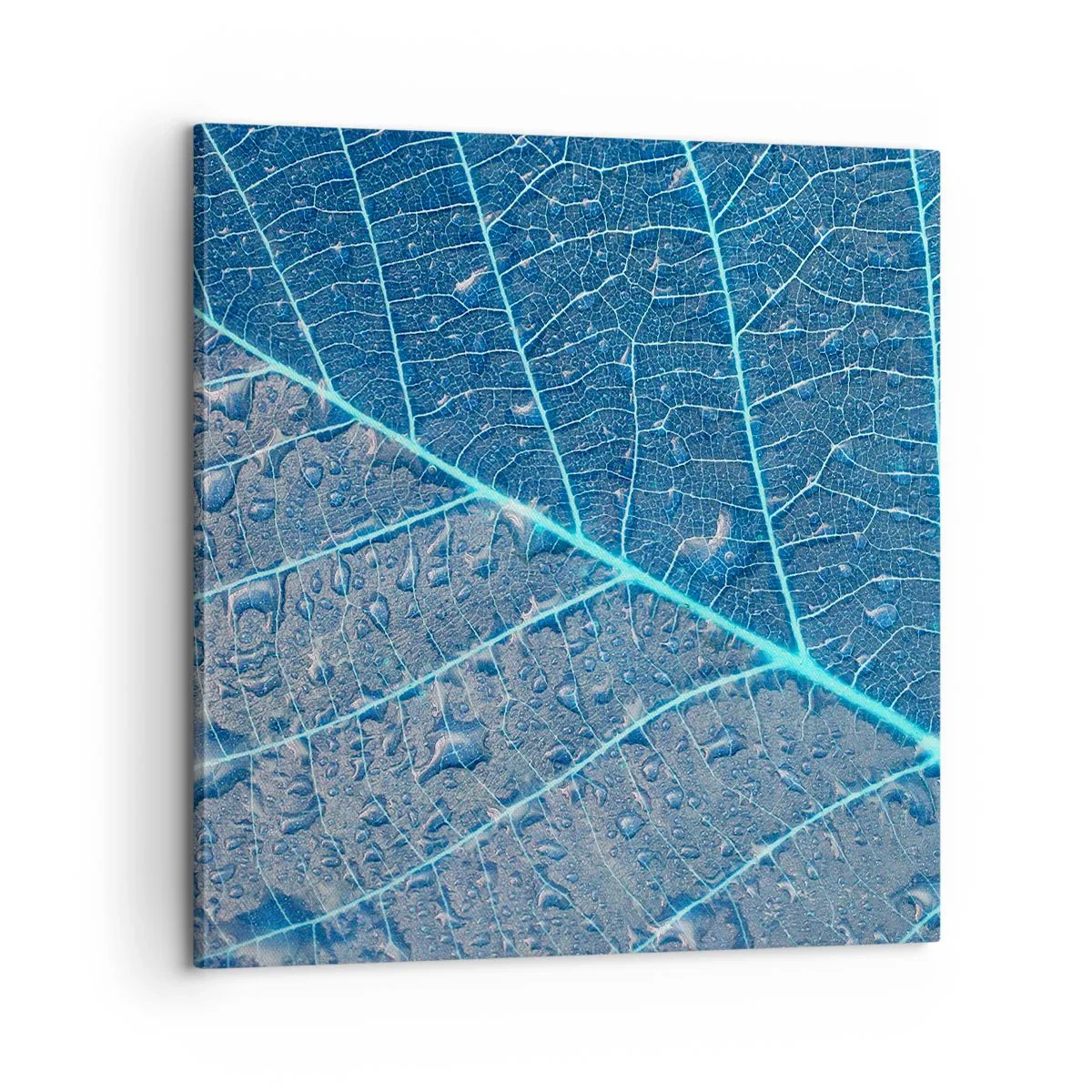 Impression sur toile - Image sur toile - La vie en bleu - 60x60 cm