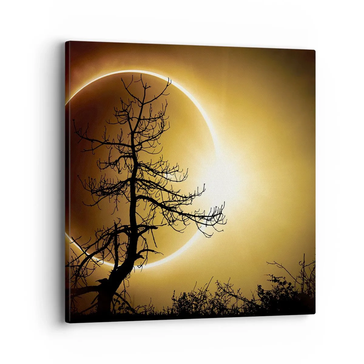 Impression sur toile - Image sur toile - Éclipse totale - 40x40 cm