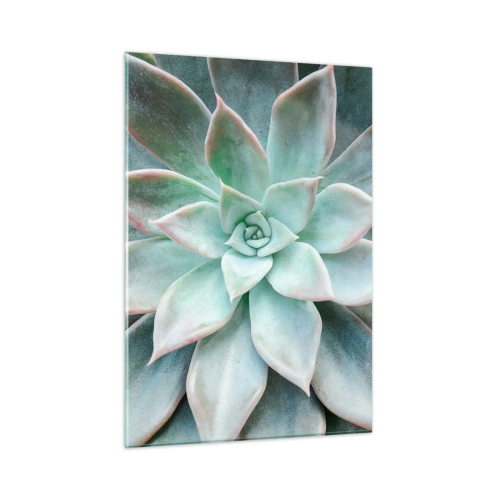 Impression sur verre - Image sur verre - Feuilles succulentes sèches avec une délicate teinte gris-vert - 50x70cm - Le coeur du désert - Décoration murale moderne pour le salon et la chambre ARTTOR