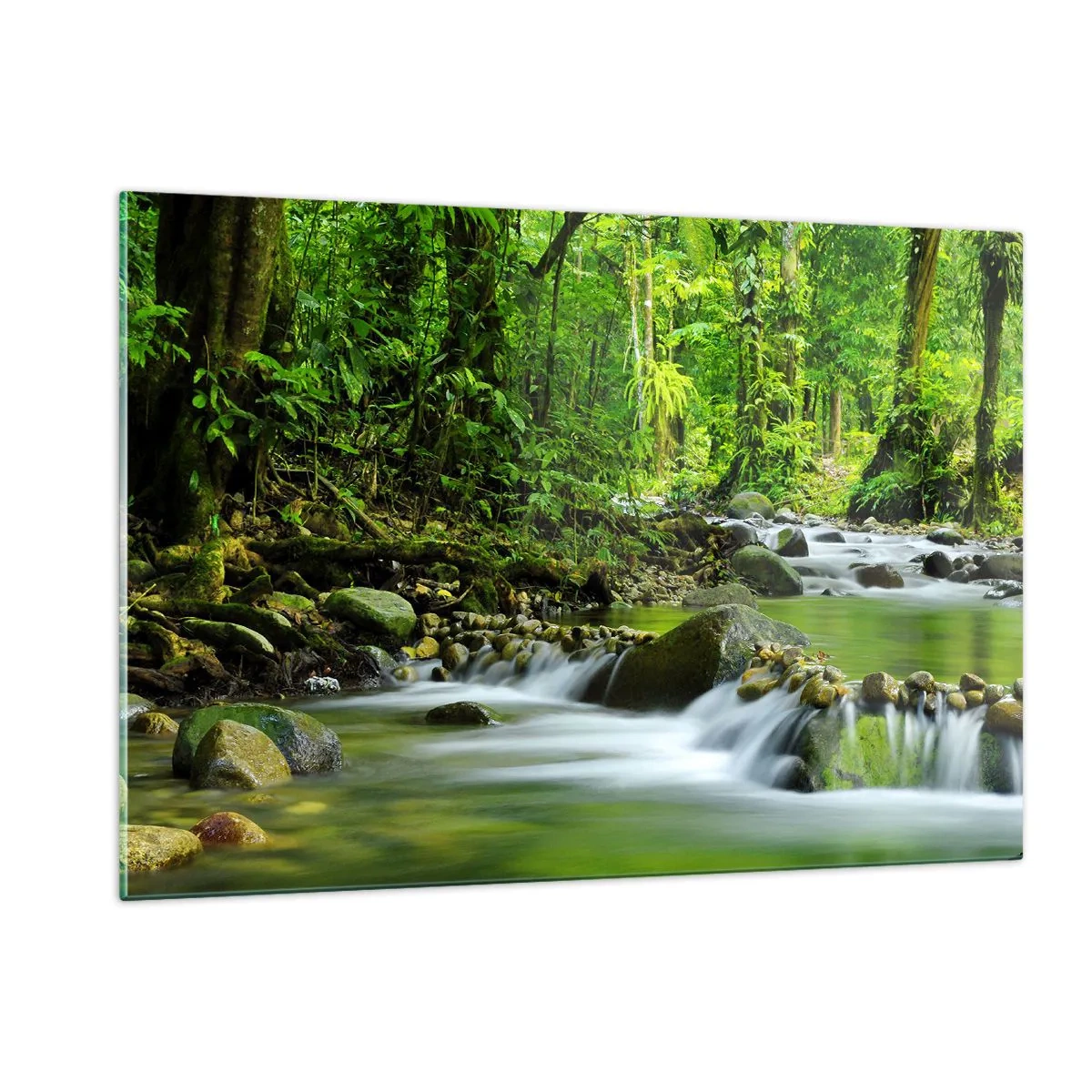 Impression sur verre - Image sur verre - Un ruisseau forestier entouré d'une végétation luxuriante - 120x80cm - Nager dans un océan de verdure - Décoration murale moderne pour le salon et la chambre ARTTOR
