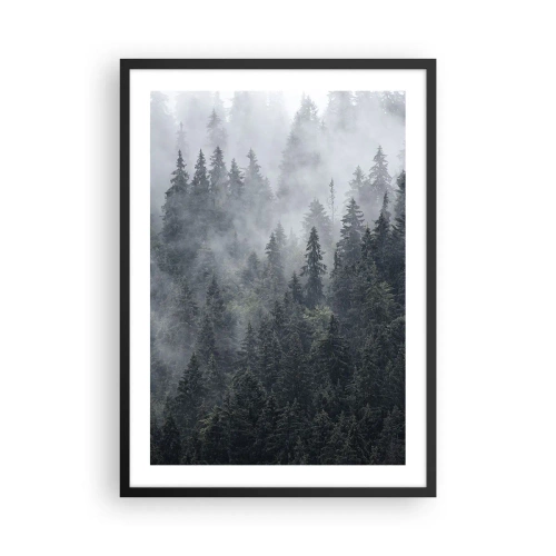 Affiche dans un cadre noir - Poster - Une forêt brumeuse avec de grands conifères - 50x70cm - Aube de la forêt - Décoration murale moderne pour le salon et la chambre ARTTOR
