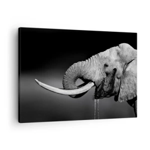 Impression sur toile - Image sur toile - Portrait noir et blanc d'un éléphant de profil - 70x50cm - Oui, c'est bon maintenant - Décoration murale moderne pour le salon et la chambre ARTTOR