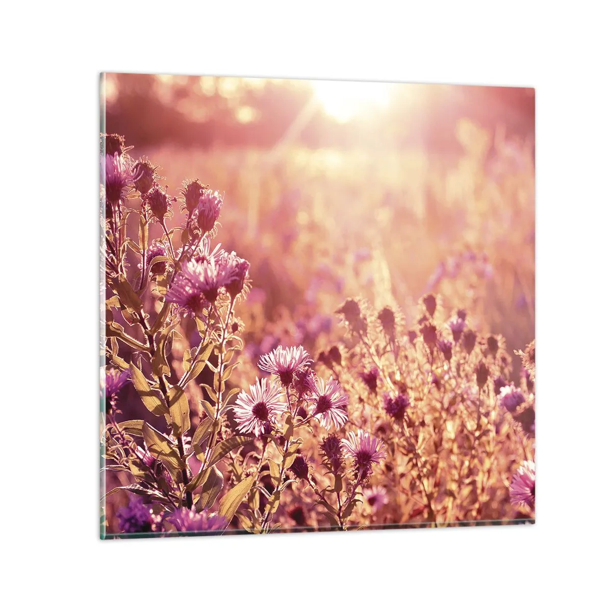 Impression sur verre - Image sur verre - Avant que l'été ne parte - 60x60 cm