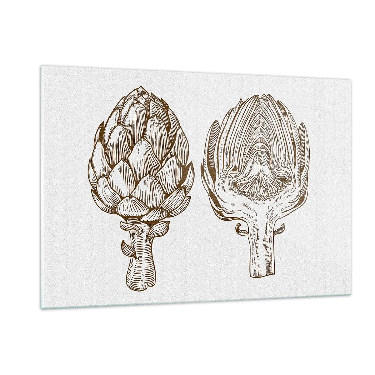 Impression sur verre - Image sur verre - Dessin botanique d'un artichaut dans son intégralité et en coupe transversale - 120x80cm - Leçon d’anatomie - Décoration murale moderne pour le salon et la chambre ARTTOR