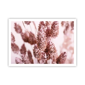 Affiche - Poster - Gros plan sur les délicats épis roses des graminées ornementales - 100x70cm - Apparemment discret - Décoration murale moderne pour le salon et la chambre ARTTOR