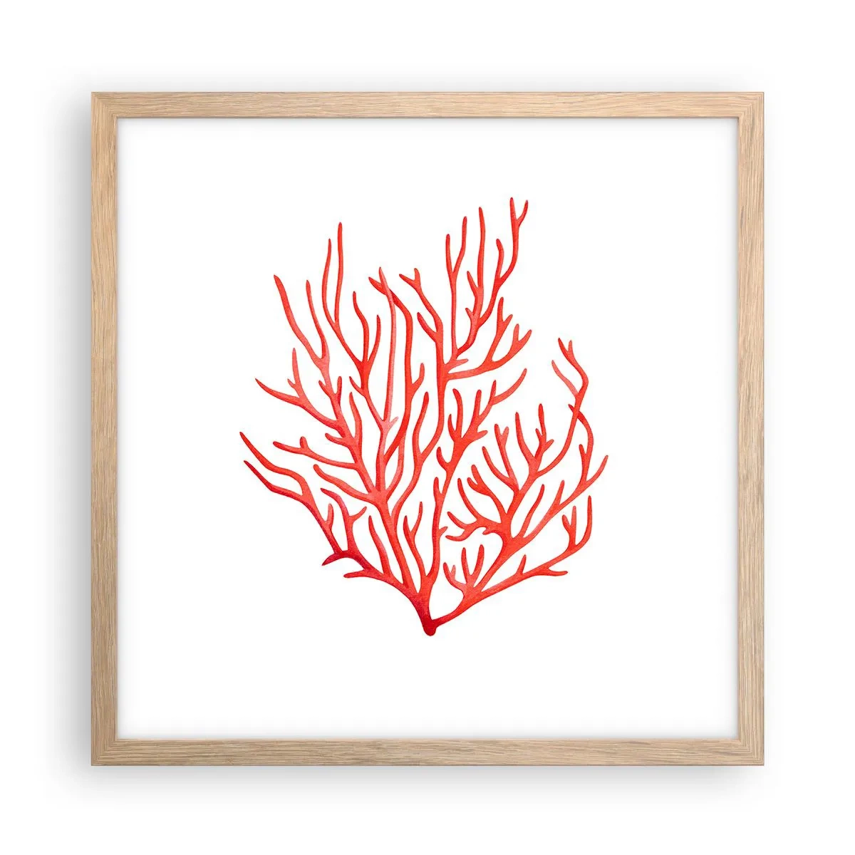 Affiche dans un chêne clair - Poster - Filigrane de corail - 40x40 cm