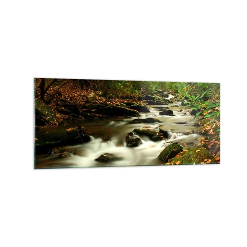 Impression sur verre - Image sur verre - Un ruisseau forestier coulant entre des pierres entourées de verdure - 120x50cm - Comme de l'argent liquide - Décoration murale moderne pour le salon et la chambre ARTTOR