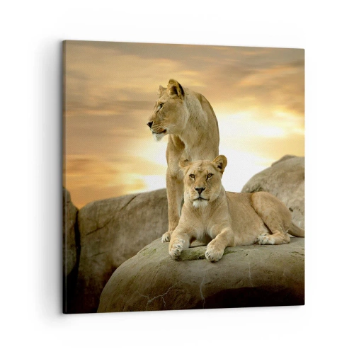 Impression sur toile - Image sur toile - Majesté royale - 50x50 cm