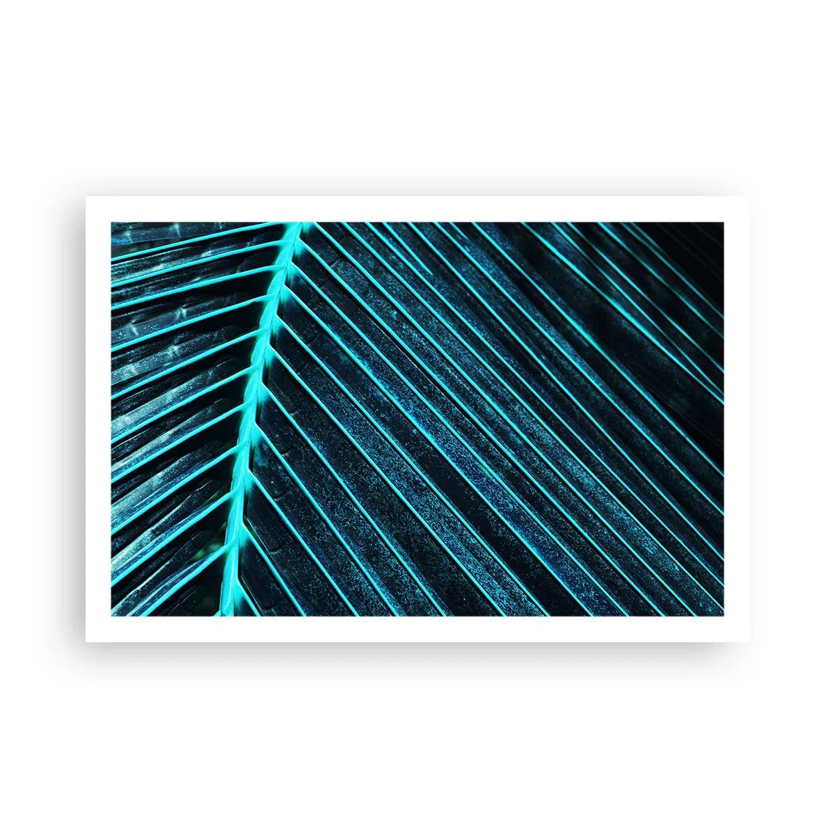 Affiche - Poster - Texture verte - 91x61 cm