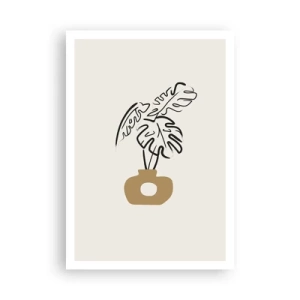 Affiche - Poster - Monstera – décoration de la maison - 70x100 cm