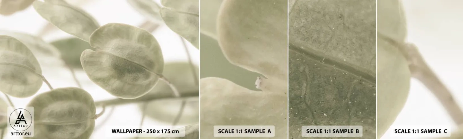 Échantillon de Papier Peint Autocollant Deluxe Sticker - Au commencement il y avait des feuilles... - Fleurs, Calme, Feuilles - 100x30 cm