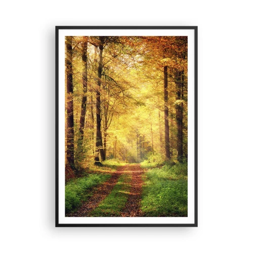 Affiche dans un cadre noir - Poster - Silence d'or en forêt - 70x100 cm