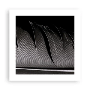 Affiche - Poster - La plume – un design magnifique - 40x40 cm