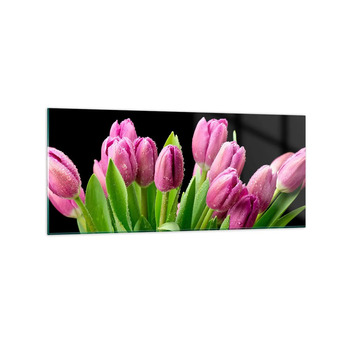 Impression sur verre - Image sur verre - Tulipes roses avec des gouttes de rosée sur fond noir - 120x50cm - Joie printanière des lilas - Décoration murale moderne pour le salon et la chambre ARTTOR