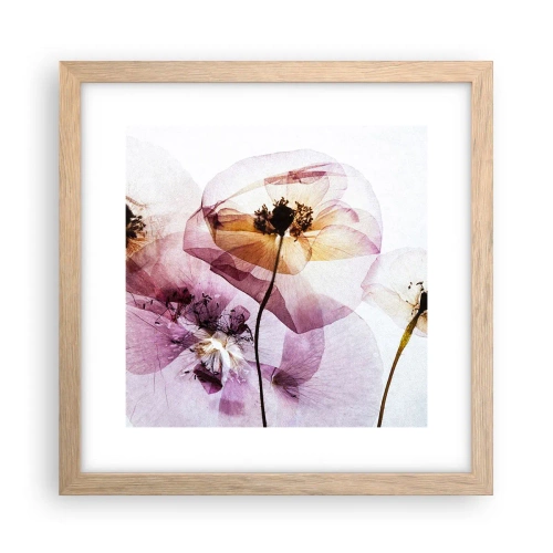 Affiche dans un chêne clair - Poster - Corps de fleurs transparente - 30x30 cm