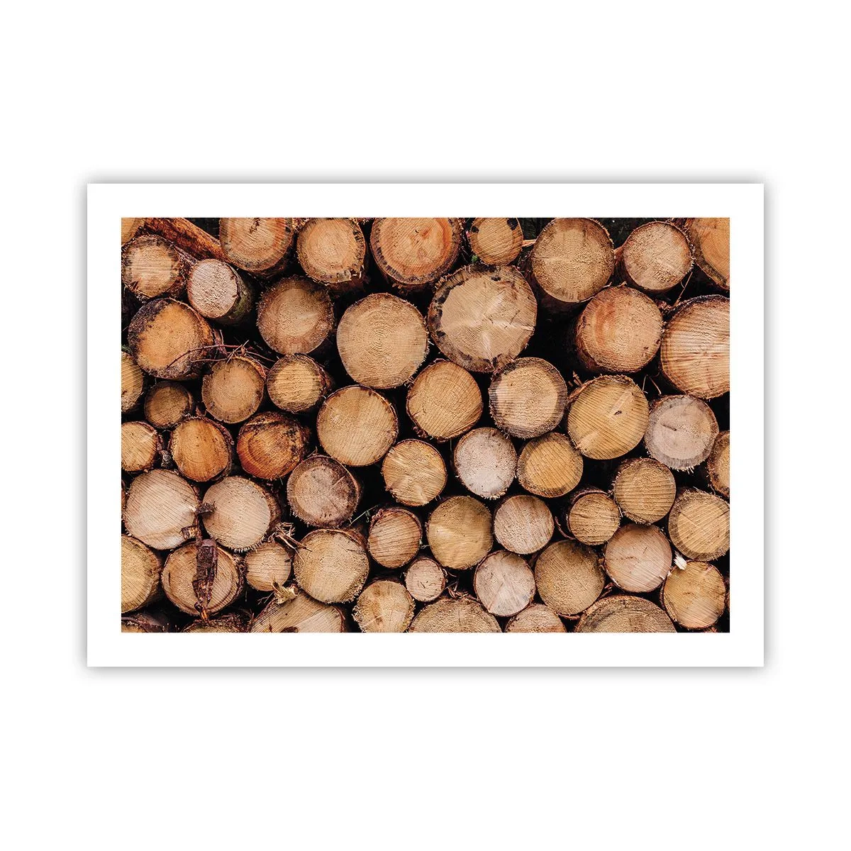 Affiche - Poster - Nouveau commencement - 70x50 cm