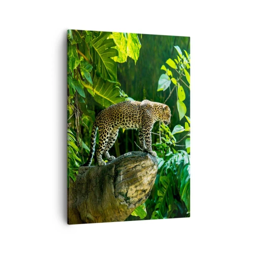 Impression sur toile - Image sur toile - Un léopard debout sur un rocher entouré de végétation tropicale - 50x70cm - À la chasse? - Décoration murale moderne pour le salon et la chambre ARTTOR