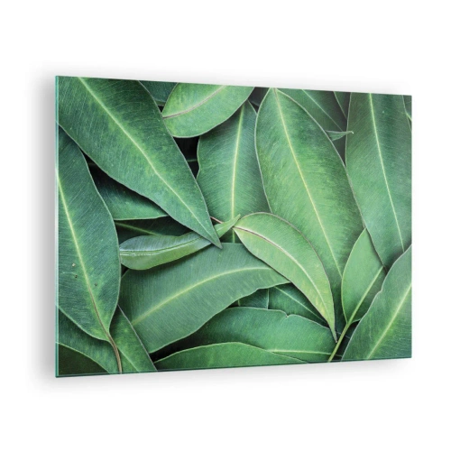 Impression sur verre - Image sur verre - Gros plan de feuilles vertes disposées en couches - 70x50cm - Juteux et frais - Décoration murale moderne pour le salon et la chambre ARTTOR
