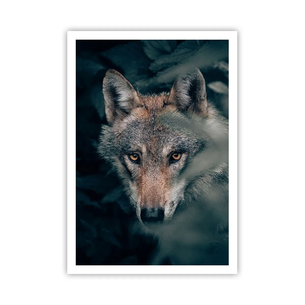 Affiche - Poster - Chasseur - 70x100 cm