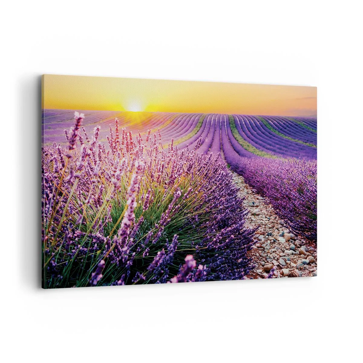 Impression sur toile - Image sur toile - Champ de lavande au coucher du soleil - 100x70cm - Tige parfumée - Décoration murale moderne pour le salon et la chambre ARTTOR