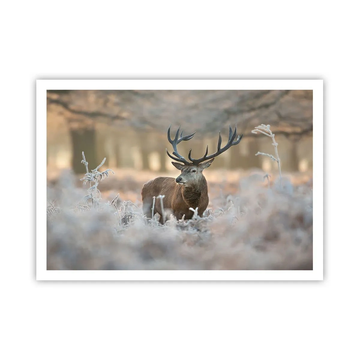 Affiche - Poster - Un cerf dans une clairière givrée dans une forêt hivernale aux couleurs subtiles - 100x70cm - Une matinée animée - Décoration murale moderne pour le salon et la chambre ARTTOR