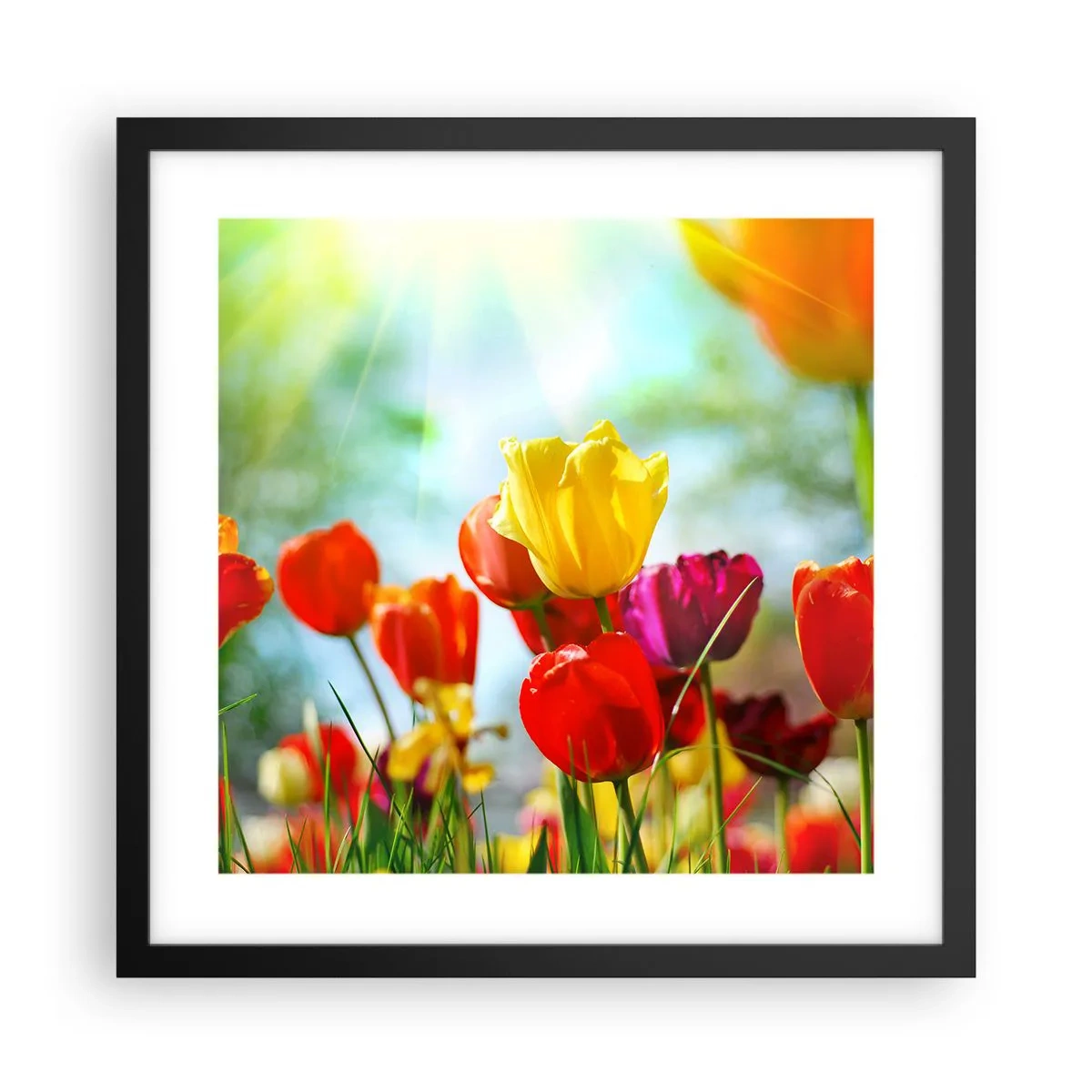 Affiche dans un cadre noir - Poster - Toutes les couleurs du soleil - 40x40 cm