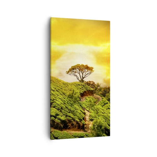 Impression sur toile - Image sur toile - Un chemin sinueux, une pente verte - 55x100 cm