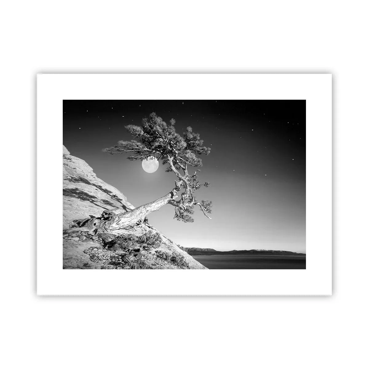 Affiche - Poster - Un combattant vainqueur - 40x30 cm