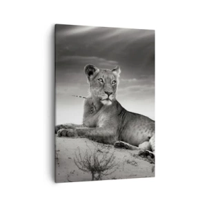 Impression sur toile - Image sur toile - Portrait noir et blanc d'une lionne dans la savane - 50x70cm - La reine du désert reste - Décoration murale moderne pour le salon et la chambre ARTTOR