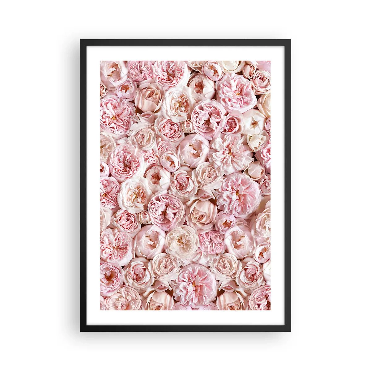 Affiche dans un cadre noir - Poster - Un arrangement romantique de fleurs roses en gros plan - 50x70cm - Un lit de roses - Décoration murale moderne pour le salon et la chambre ARTTOR