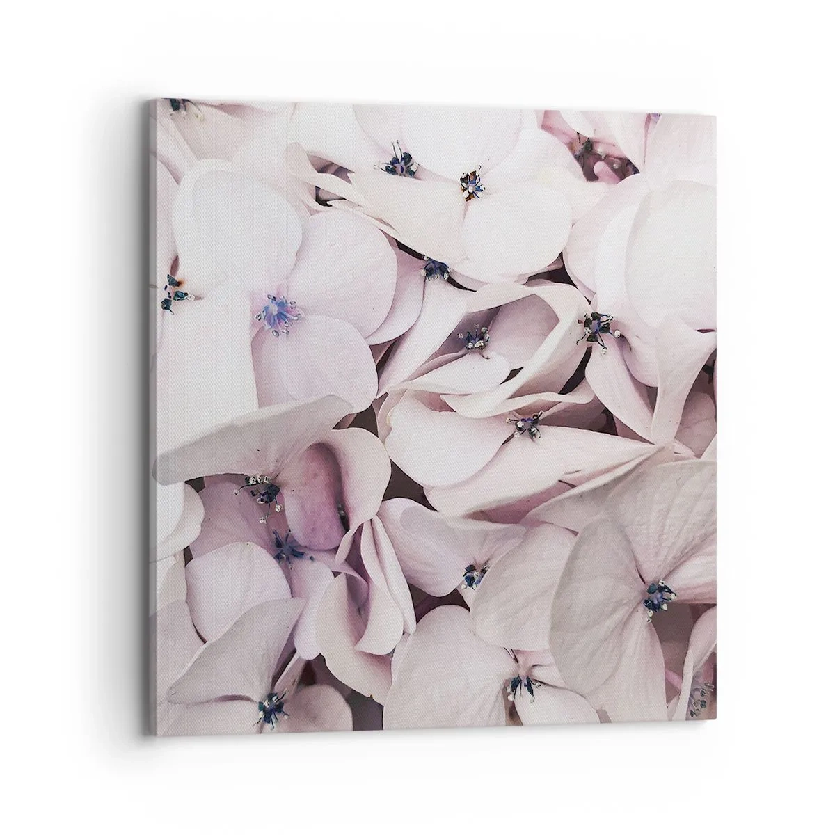 Impression sur toile - Image sur toile - Dans un flot de fleurs - 70x70 cm