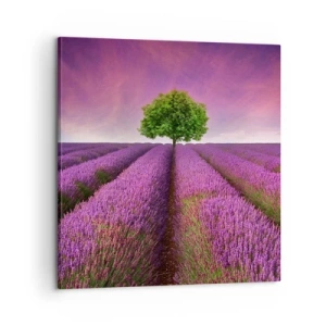 Impression sur toile - Image sur toile - Dans un champs de lavande - 60x60 cm
