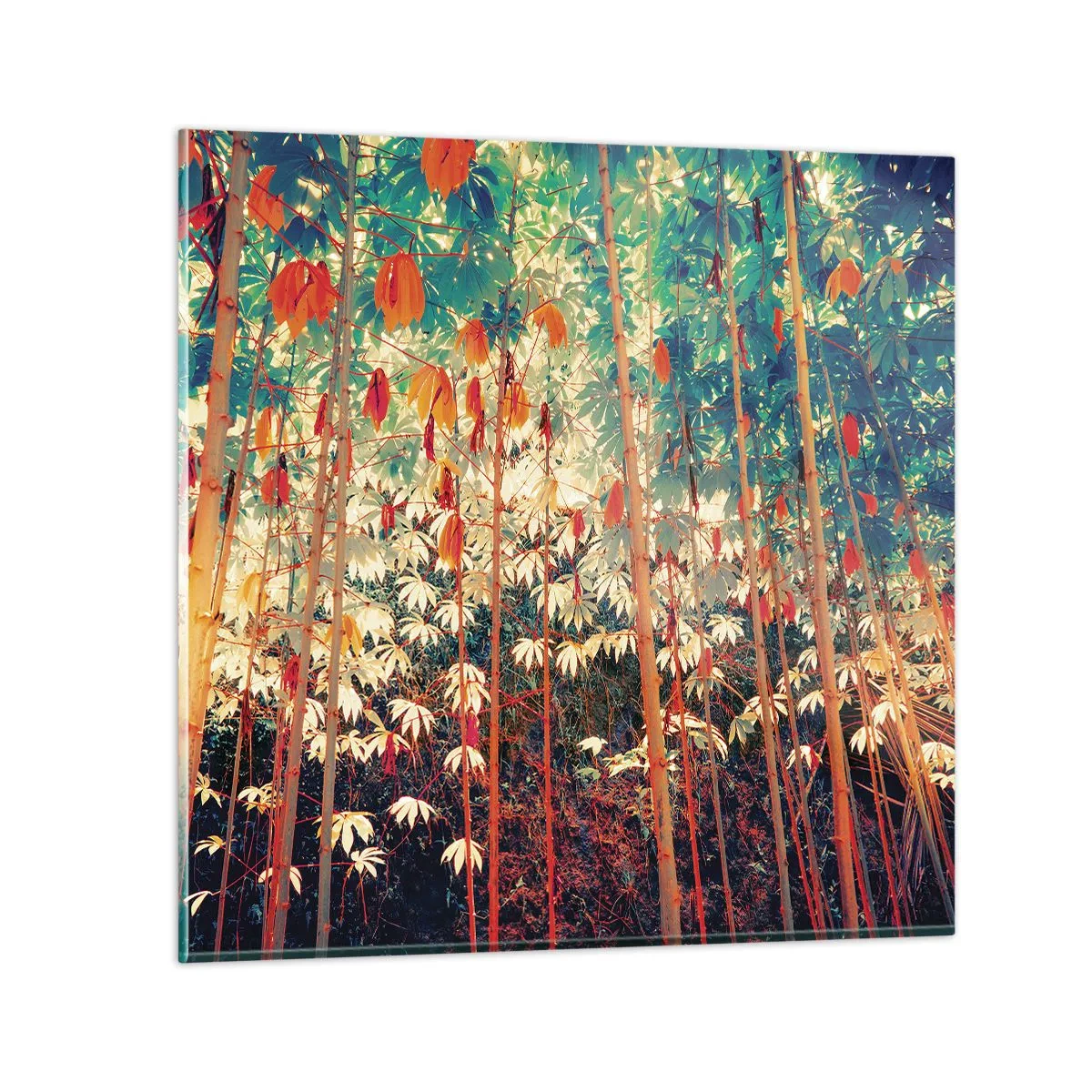 Impression sur verre - Image sur verre - La vie secrète des feuilles - 40x40 cm