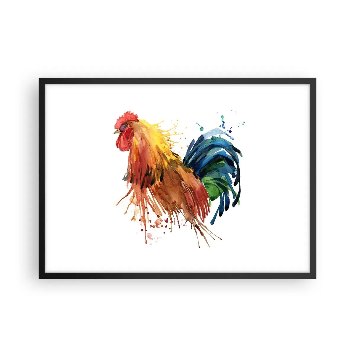 Affiche dans un cadre noir - Poster - Coq coloré dans un style aquarelle - 70x50cm - Robe royale, fierté royale - Décoration murale moderne pour le salon et la chambre ARTTOR