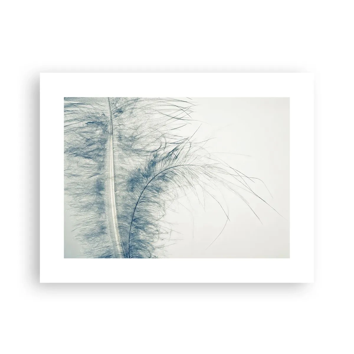 Affiche - Poster - Les sept natures - 40x30 cm