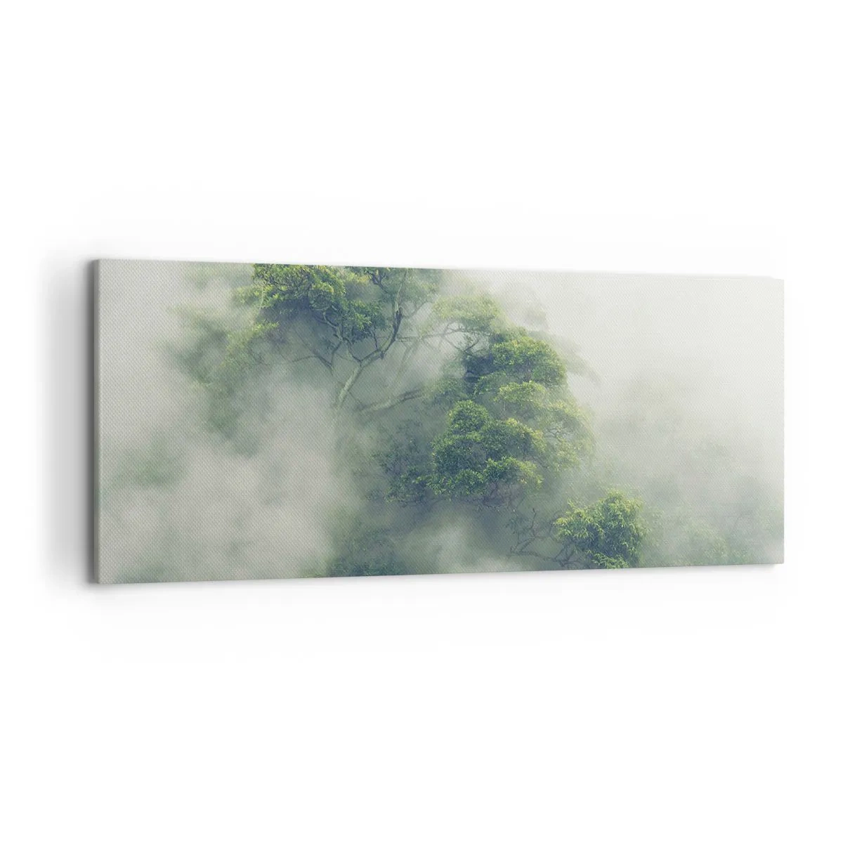 Impression sur toile - Image sur toile - Arbres verts dans un épais brouillard sur fond naturel - 120x50cm - Enveloppé de brouillard - Décoration murale moderne pour le salon et la chambre ARTTOR