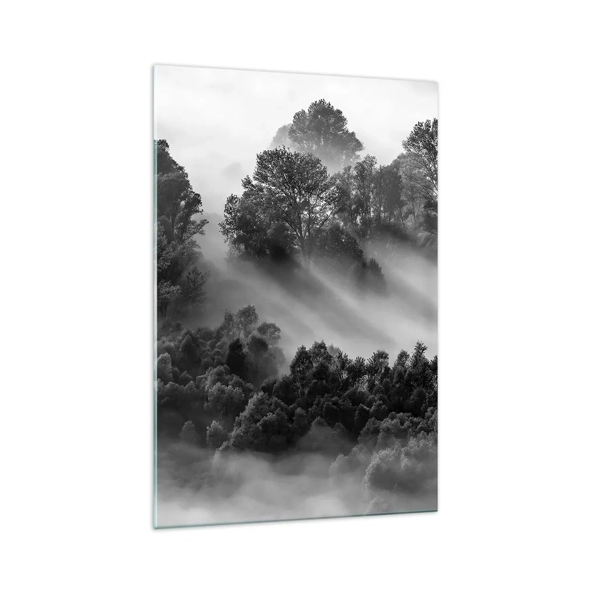 Impression sur verre - Image sur verre - Paysage forestier noir et blanc dans le brouillard du matin - 70x100cm - Sortir de son sommeil - Décoration murale moderne pour le salon et la chambre ARTTOR